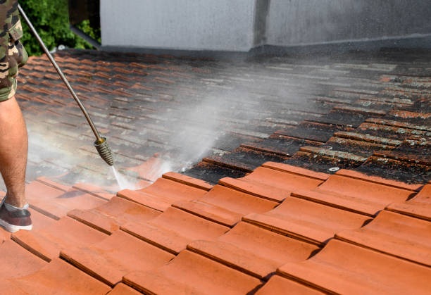 Best Fence Pressure Washing  in Point, TX
