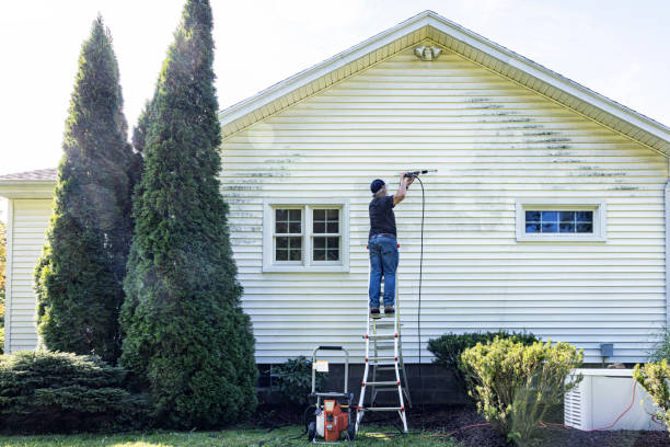 Best Residential Pressure Washing Services  in Point, TX