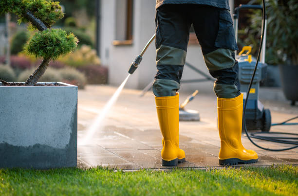 Best Commercial Building Pressure Washing  in Point, TX